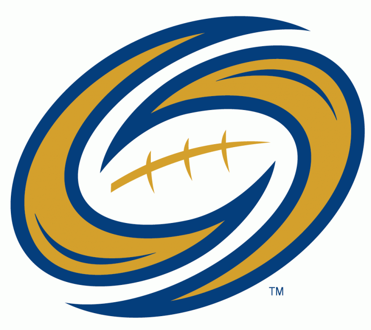 Tampa Bay Storm 2012-Pres Secondary Logo iron on transfers for T-shirts